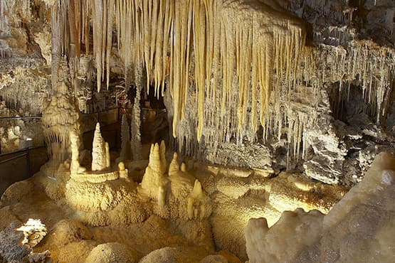 Visite guidée de la La Grotte de Clamouse