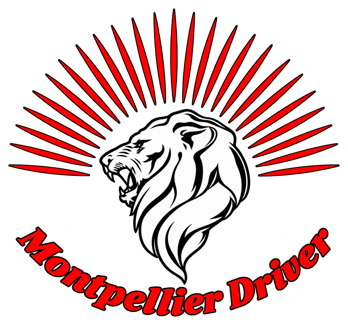 VTC MONTPELLIER DRIVER | Chauffeur Privé Toutes Distances Aéroport Gare Business Mariage